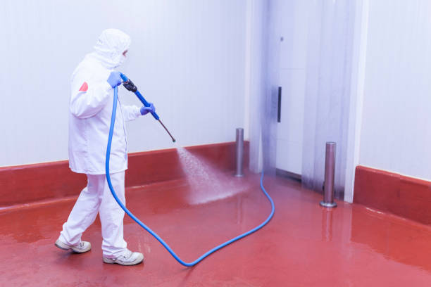 Best Building Exterior Washing  in Cedarburg, WI